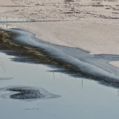 9aa4a0cb4bfa90d411851185d0b9e2a1