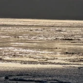 a7b3c4fe7069e5c4b650b93e0c686652