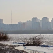 bd9c7d19dde75d3d2c066f4eee06d446