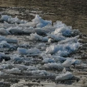 daf2242b14374ada5c44980a28d04549