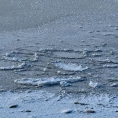 e1e1ba2d75f6d093078af9c1bbe83741