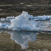 f41064d94d68f92f9fbe650370712546