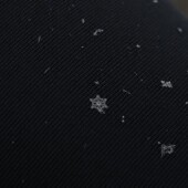 c84361a55461aa29322fceb25cc57292