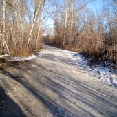 20f247ad2727d39e08f6a896cfea81b7