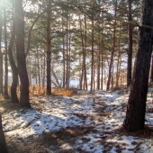 25ae0198d412f402ae4232486c00c097