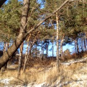 52495236e152a8b9621e35e849f21002