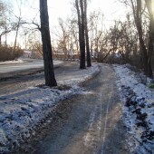 6ca5c9c5e540892d6fafaf0b5ebb207a