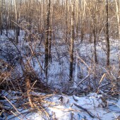 890075a1ba62c8db4fbc1a48788a684b