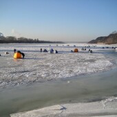 a5b2e88645ac610385e34cc308016530