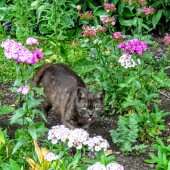 4d04bcdad3bda97c9fd2d443e5c9f7e7