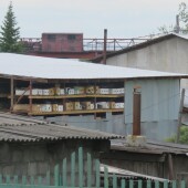 cd94c93e41d365491103407288ddadb7