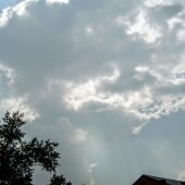 31c8ecea4f5c327aee59e19597008e72