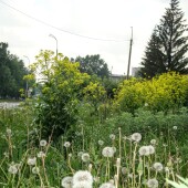 42e29808ef3a5d8fca57ff4c50643bbc