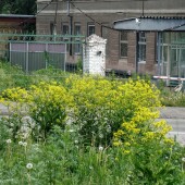 52a03327944c7944df80ef2c26574f9f