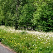 81594605ad75fc7c577b19911782b0a6