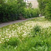 8f25bcacfa00ae8a9bc0d7ec35b17855