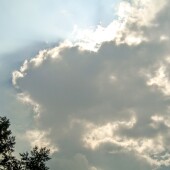 a3175b068b73aaa85c089c4756875e64