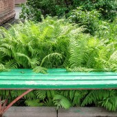 b17098c7604e2c68539baa2906aa6e6a