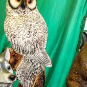 fd892c614b04df7ccbaae2107c0cca3c