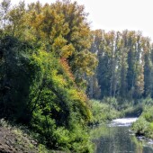 a2c02a72ecbd1e42eec492e9004c971c