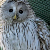 05a3c4e91bdd05527dd2ab2f36fc0676