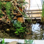 10aace47b51400b69091ec271e35467e