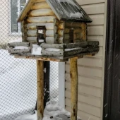 145916bdbbfc25cdfa478ffbcc5bb932