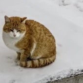 1a850972bec8ebb1907fb13a02af4d4d