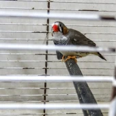 3dc538f5e4cbe5a61bf57bf61386f808