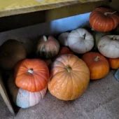 54269d4cd6d6025aac15f3a916c1414b