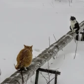 56bb73d0125e8e8f6e7eee8720c78aa1