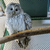 64844145a5d23982870764cbb349c733