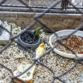 6be5cc0a6c928d11de62f72071efa380