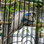 7c23ac170980f82b22d73b636ee8b8fe