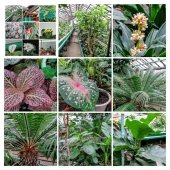 83e31fb741f5c6276e8cf77010bb46f6