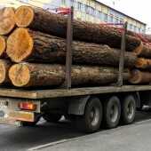 85c5c3b6a74ecc43b93ce55e9cb2840e