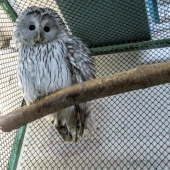 86229065caa15ce75c22c206dfb9cc03