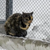 91eef0fb4247113e44d5adda7ffa1dde