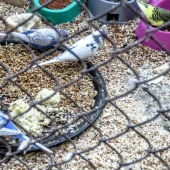 92df2484f3664069782d22128e9e68ce