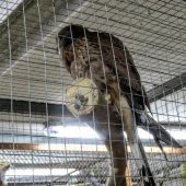 9996c99ed7f8e687cbcdf91402a373ee