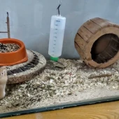 99c7aa258d1047fa8fcf41a6aef861fe