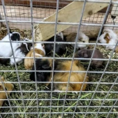 b061e153da70fd560d92867ef46251f0