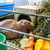 c4a21f2b13a279b0b5ec4666e75d1e73