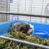 cb321df92969948ef5bb68e7a9ec7902