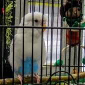 d5f7409c47dae91870007b6e3ccfff65