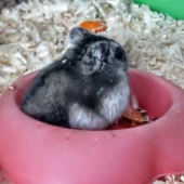 d9b058e5035fd07ffe59c71689c4c60a