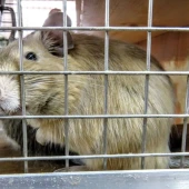 dc1e29f2c682d1bf439154e1e2af7742