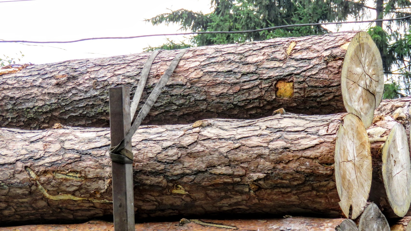 QgNIhJGnFqdSpym0E95FikXRJkyw2zks8CzE6SE1S9h Hmie6co6HrUQmlDDpZDS0pOu9nv9XHAU5keqoqn8Iluu