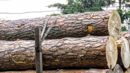 QgNIhJGnFqdSpym0E95FikXRJkyw2zks8CzE6SE1S9h Hmie6co6HrUQmlDDpZDS0pOu9nv9XHAU5keqoqn8Iluu