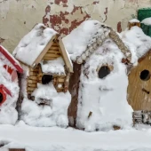 def81131aba93ee807fedff749727a22